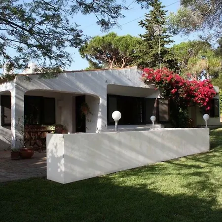 67 אלבופיירה