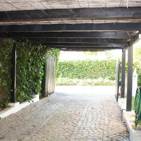 Vakantiehuis 67 *